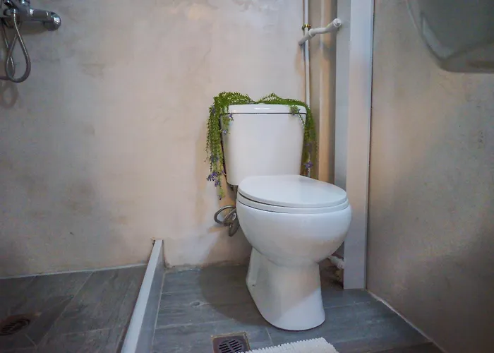 - Renovated