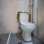 - Renovated