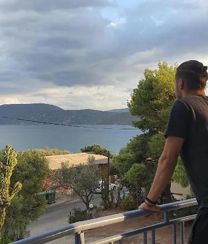 Hotel - Renovated 2*