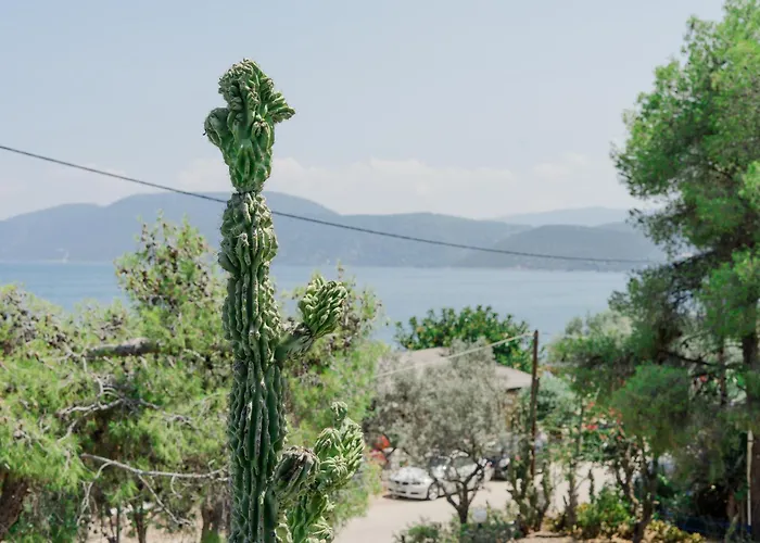 - Renovated Hotel 2*